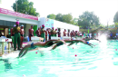 photogalary2