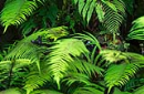 photogalary2
