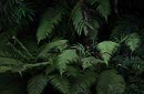 photogalary2