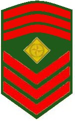 BattalionRQMS(2)