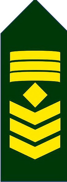 Brigadier_General