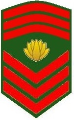 BattalionRSM(2)