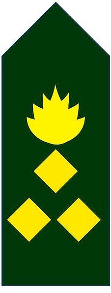 Brigadier_General